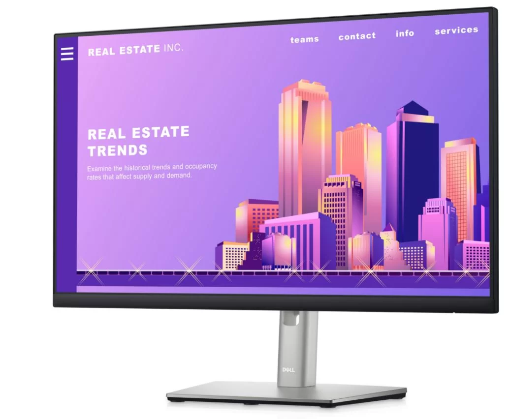 Монитор Dell P2422H 23.8" FHD IPS 60Hz (210-AZYX) – купить недорого с доставкой по Алматы и Казахстану фото 2