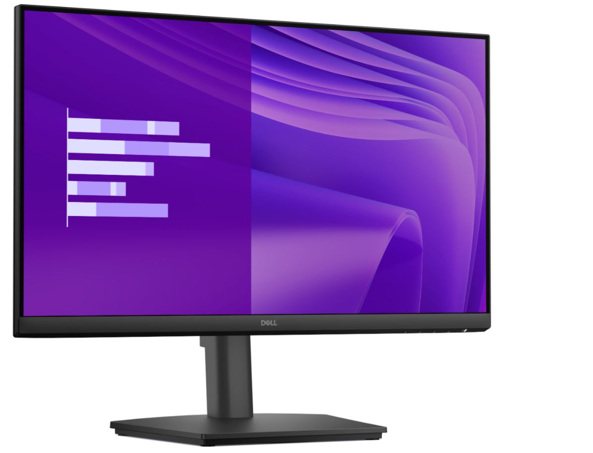 Монитор Dell E2425HSM 23.8" FHD IPS 100Hz (210-BRDV) — купить в Казахстане | neom.kz