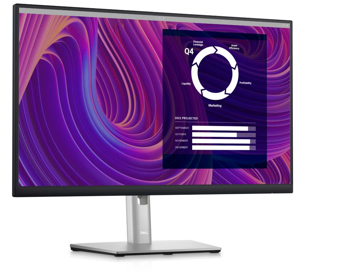 Монитор Dell P2423D (210-BDEG) – купить недорого с доставкой по Алматы и Казахстану фото 3
