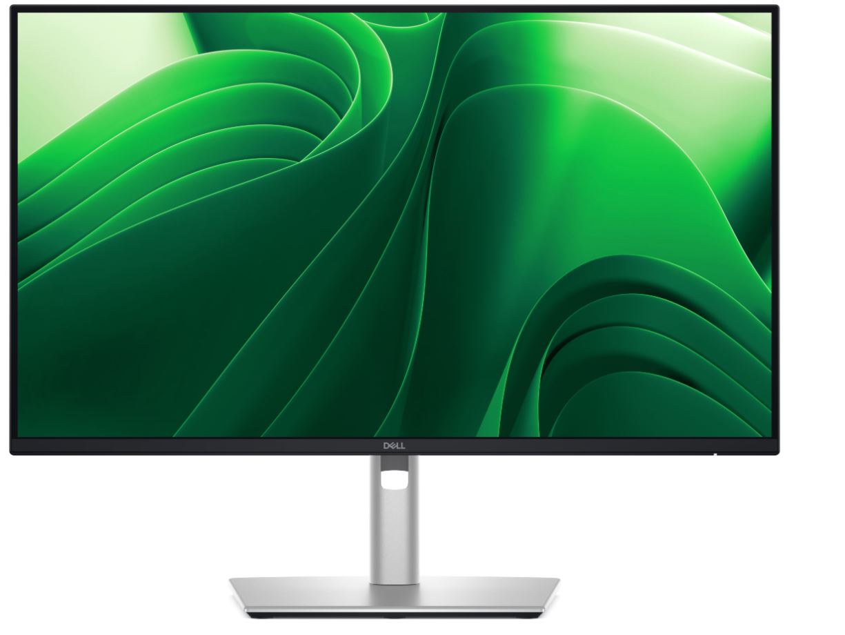 Монитор Dell P2425DE 23.8" QHD IPS 100Hz (210-BRDM) — купить в Казахстане | neom.kz