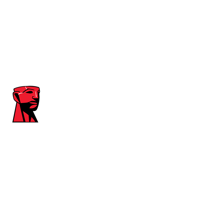 Kingston: Высокое качество!