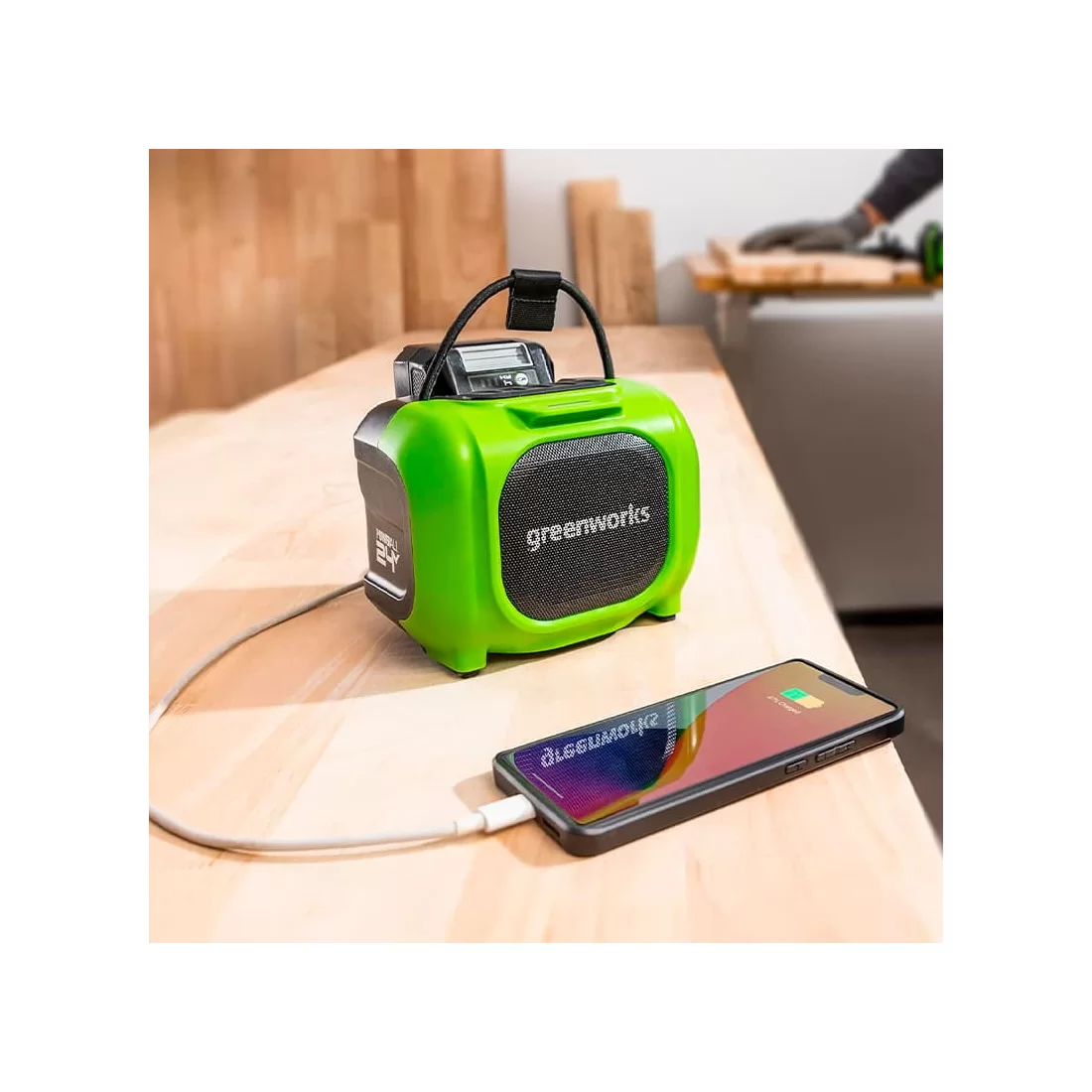 Беспроводная акустическая система аккумуляторная Greenworks GPT-MNBS 24V/220V без АКБ и ЗУ – купить недорого с доставкой по Алматы и Казахстану фото 2