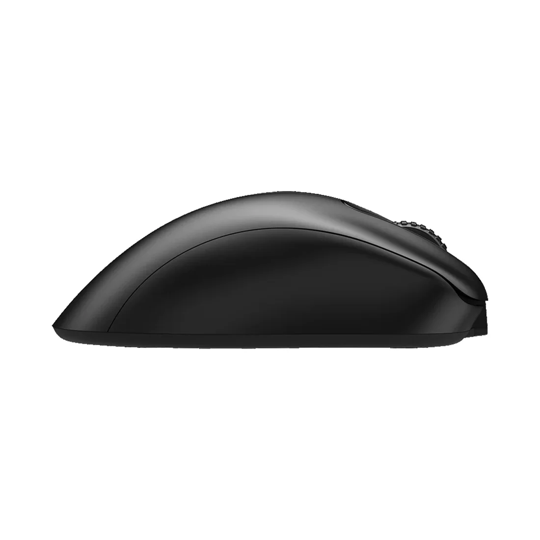 Компьютерная мышь ZOWIE EC1-CW – купить недорого с доставкой по Алматы и Казахстану