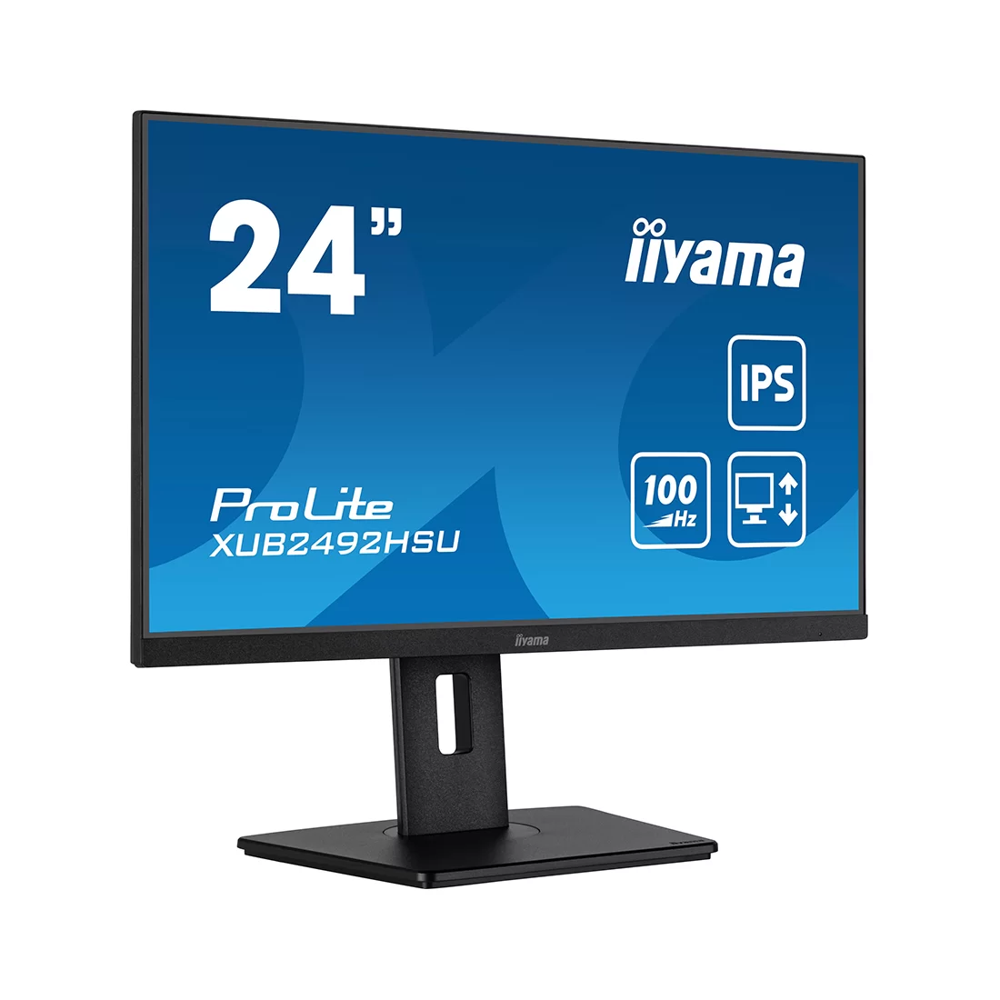 Монитор iiyama ProLite PL2492H XUB2492HSU-B6 24" – купить недорого с доставкой по Алматы и Казахстану фото 2