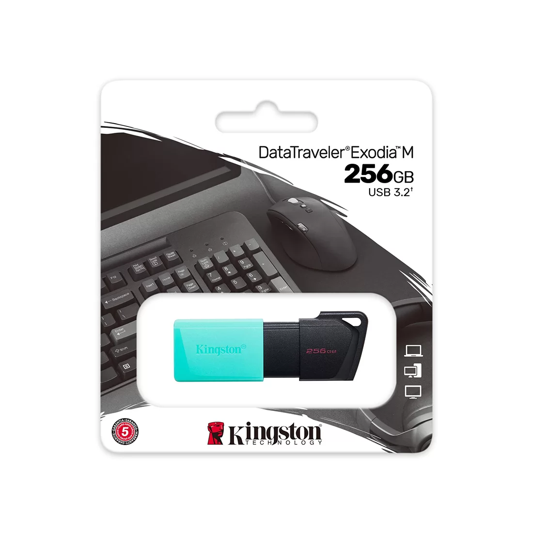 USB-накопитель Kingston DTXM/256GB 256GB Бирюзовый – купить недорого с доставкой по Алматы и Казахстану