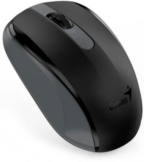 Мышка Genius RS2,NX-8008S,Black 31030028400 — купить в Казахстане | neom.kz