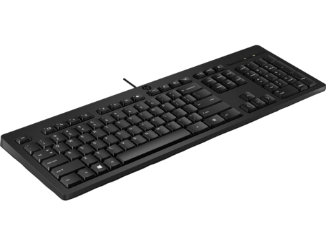 Клавиатура HP 125 (266C9A6) — купить в Казахстане | neom.kz