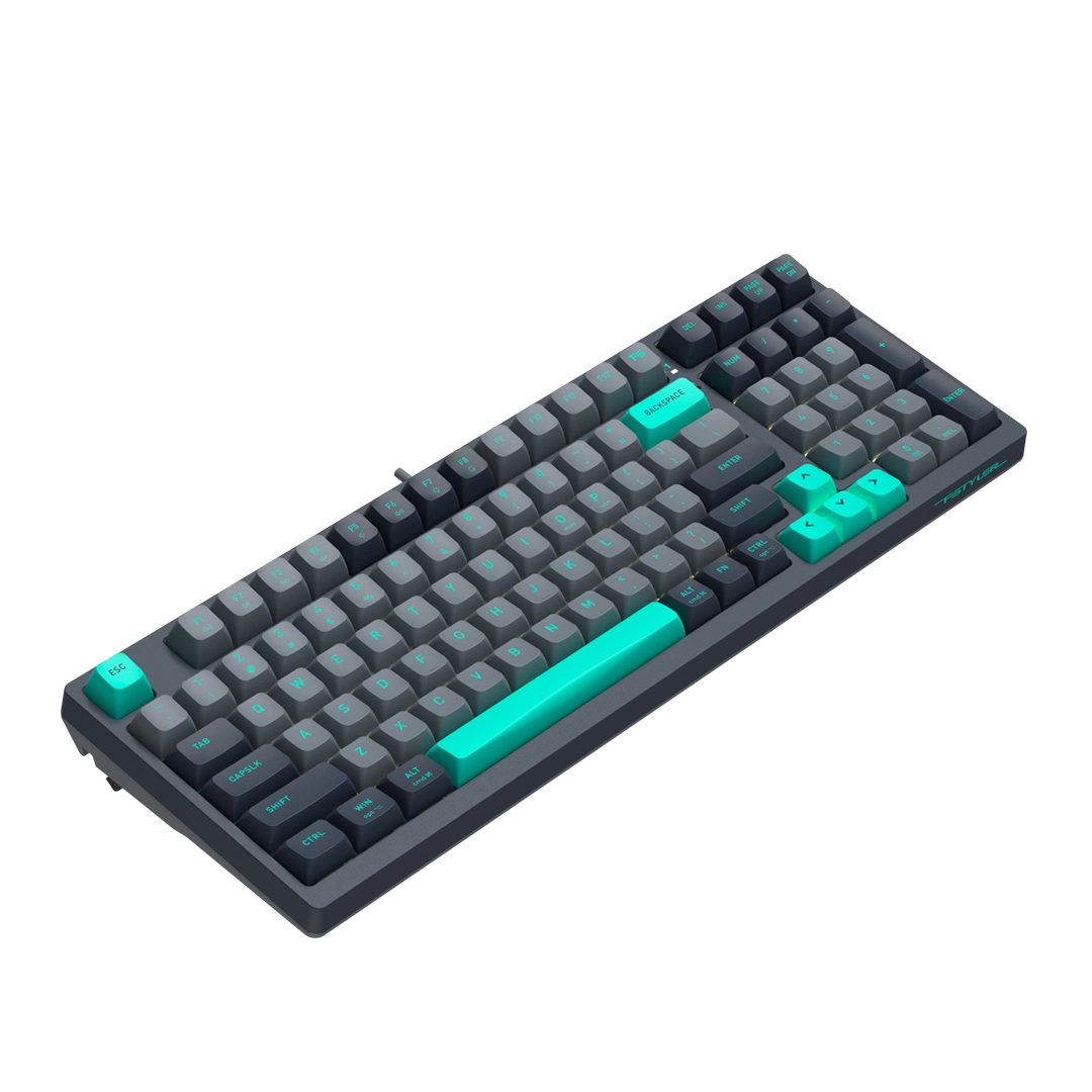 Клавиатура игровая механическая проводная A4Tech Fstyler FS300 Panda Rock Climbing