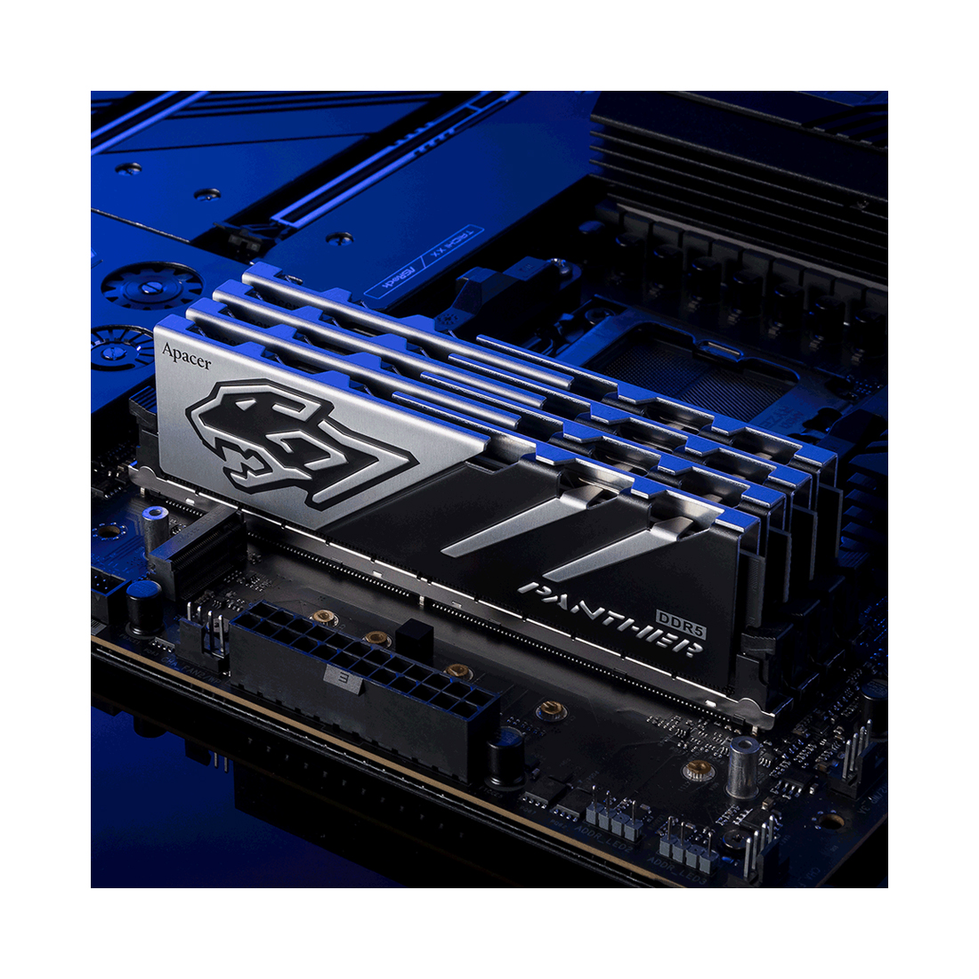 Комплект оперативной памяти Apacer Panther 32GB (2 x 16GB) DDR5-5200 DIMM (AH5U32G52C5227BAA-2) — оперативная память RAM