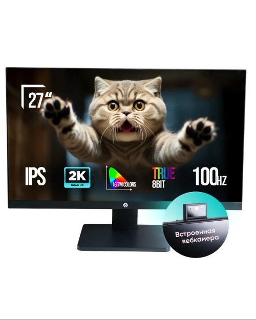 Монитор ONVYX ONMR292K100B169F 27" QHD IPS 100Hz (ONMR292K100B169F) — купить в Казахстане | neom.kz